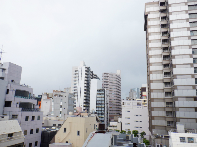 パレール川崎 眺望