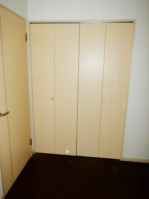 グランベル川崎南幸町デュアルステージ 収納