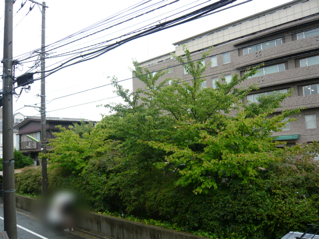 アルカディア自由ヶ丘 眺望